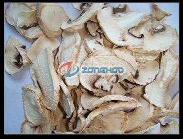 dried button mushroom